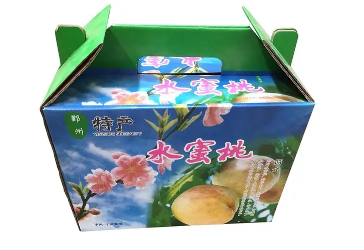 西安紙箱(xiāng)案例展示(shi)